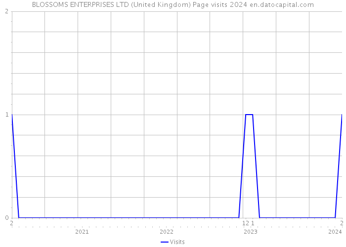 BLOSSOMS ENTERPRISES LTD (United Kingdom) Page visits 2024 