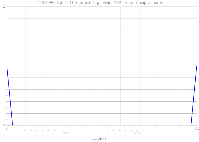 TIM ZIEHL (United Kingdom) Page visits 2024 