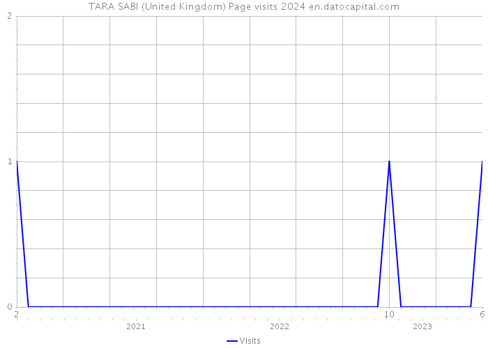 TARA SABI (United Kingdom) Page visits 2024 