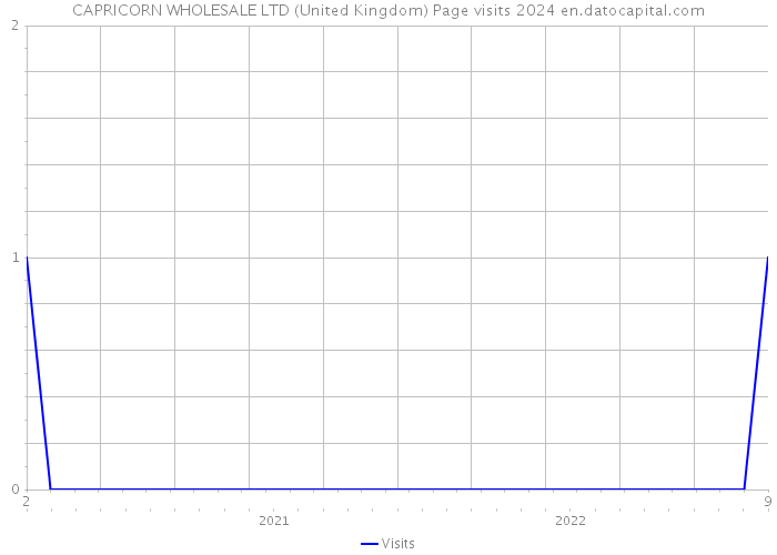 CAPRICORN WHOLESALE LTD (United Kingdom) Page visits 2024 
