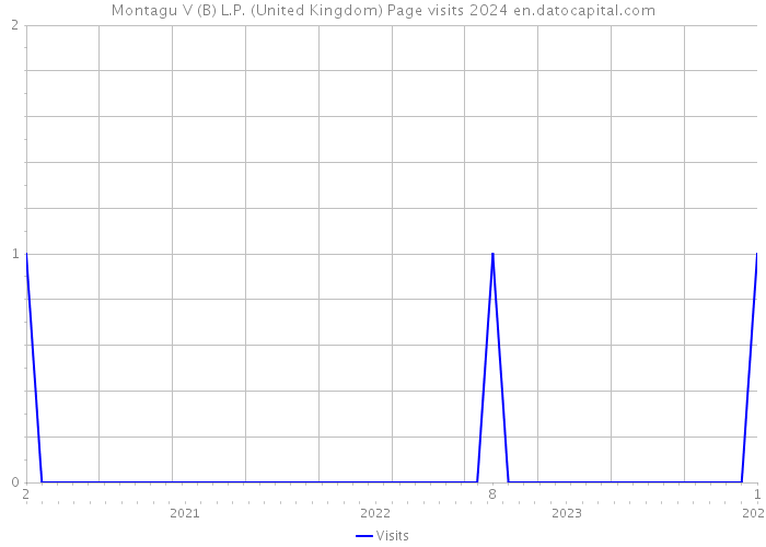 Montagu V (B) L.P. (United Kingdom) Page visits 2024 