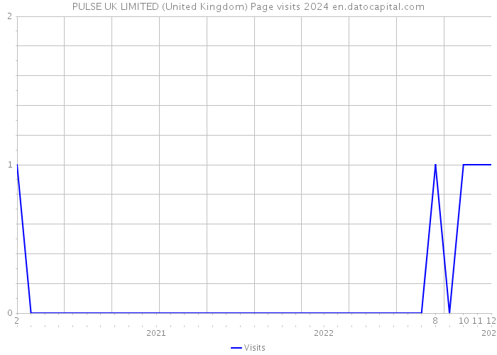 PULSE UK LIMITED (United Kingdom) Page visits 2024 