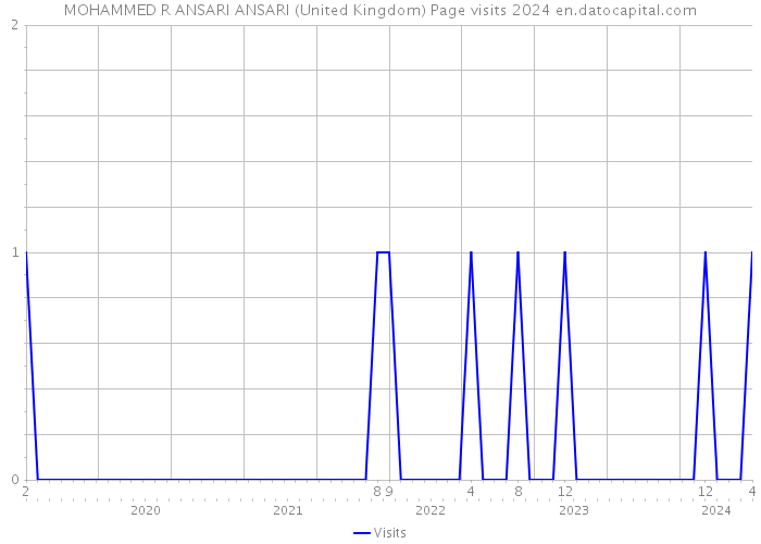 MOHAMMED R ANSARI ANSARI (United Kingdom) Page visits 2024 