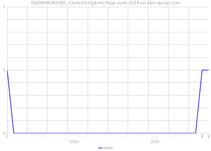 RADIM MORAVEC (United Kingdom) Page visits 2024 
