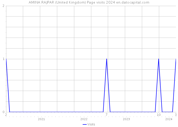 AMINA RAJPAR (United Kingdom) Page visits 2024 