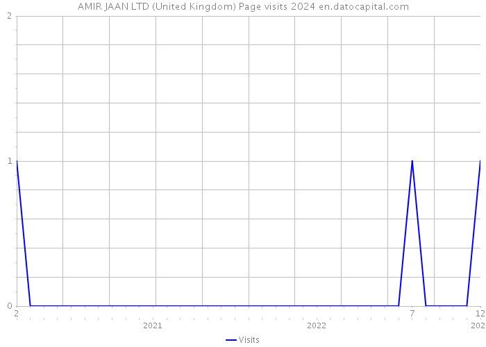 AMIR JAAN LTD (United Kingdom) Page visits 2024 