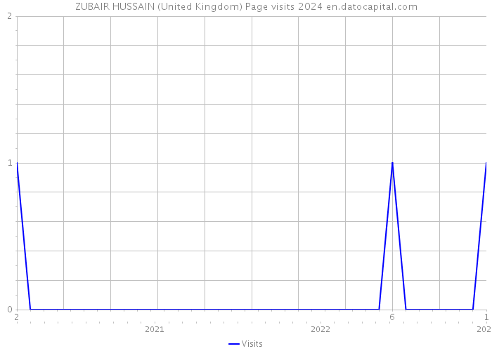 ZUBAIR HUSSAIN (United Kingdom) Page visits 2024 