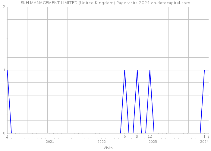 BKH MANAGEMENT LIMITED (United Kingdom) Page visits 2024 