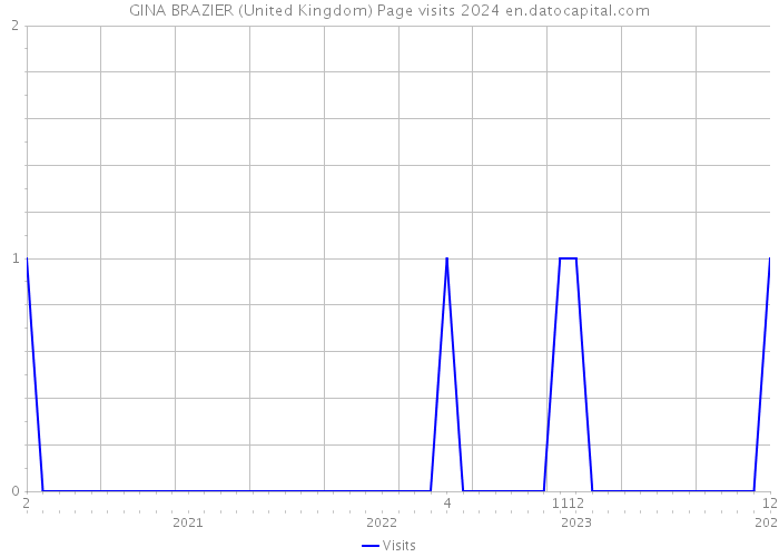 GINA BRAZIER (United Kingdom) Page visits 2024 