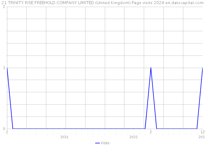 21 TRINITY RISE FREEHOLD COMPANY LIMITED (United Kingdom) Page visits 2024 
