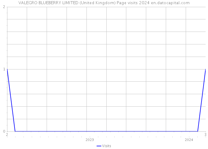 VALEGRO BLUEBERRY LIMITED (United Kingdom) Page visits 2024 