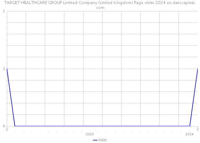 TARGET HEALTHCARE GROUP Limited Company (United Kingdom) Page visits 2024 