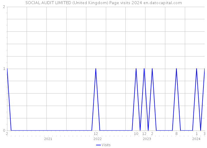 SOCIAL AUDIT LIMITED (United Kingdom) Page visits 2024 