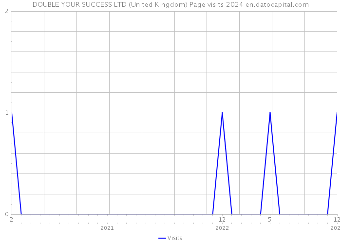 DOUBLE YOUR SUCCESS LTD (United Kingdom) Page visits 2024 