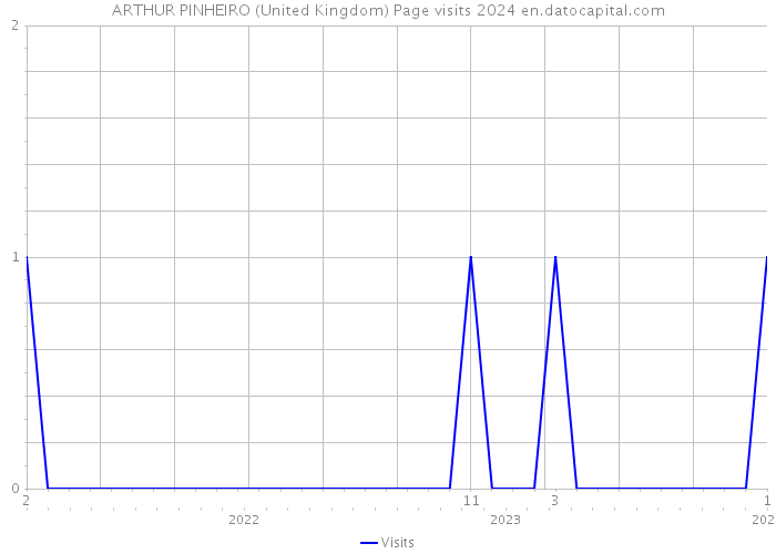ARTHUR PINHEIRO (United Kingdom) Page visits 2024 