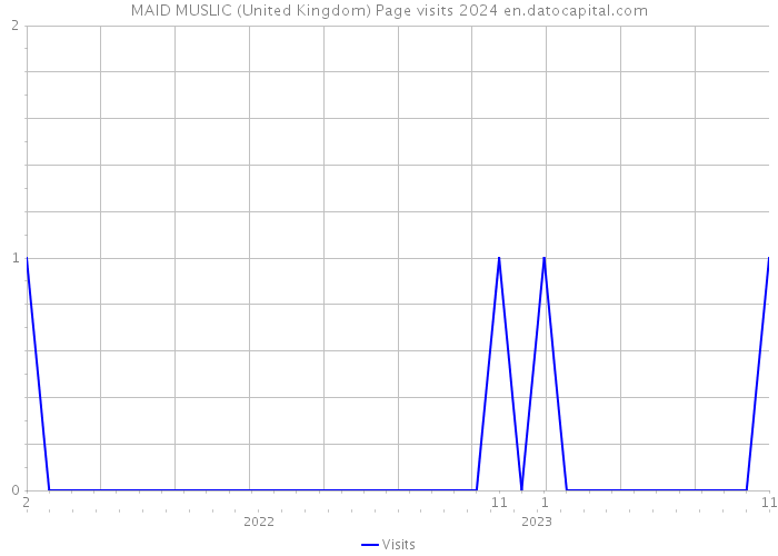 MAID MUSLIC (United Kingdom) Page visits 2024 