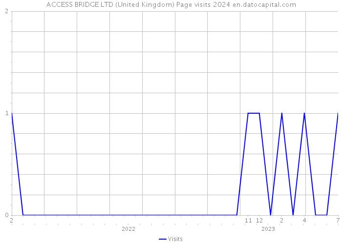 ACCESS BRIDGE LTD (United Kingdom) Page visits 2024 