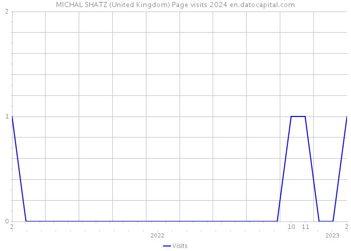 MICHAL SHATZ (United Kingdom) Page visits 2024 
