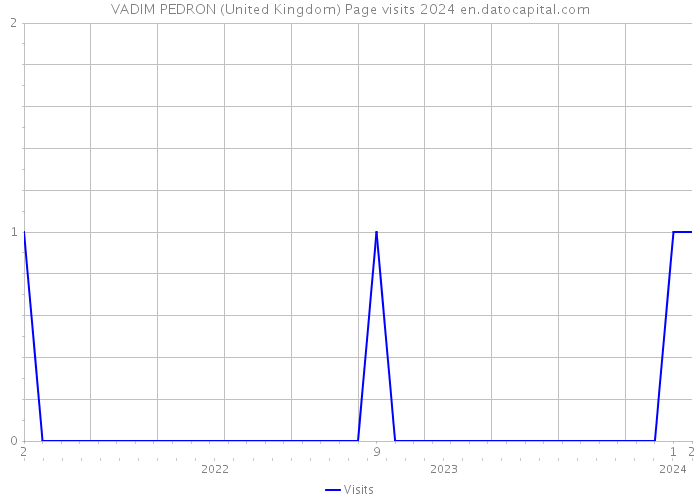 VADIM PEDRON (United Kingdom) Page visits 2024 