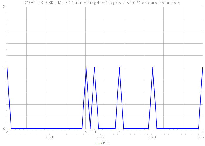 CREDIT & RISK LIMITED (United Kingdom) Page visits 2024 