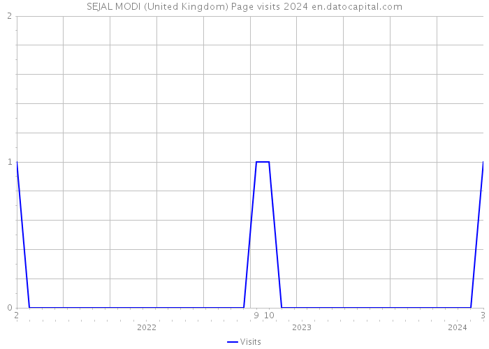 SEJAL MODI (United Kingdom) Page visits 2024 