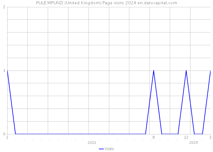 PULE MPUNZI (United Kingdom) Page visits 2024 