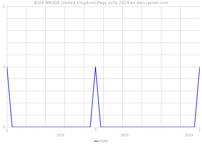 BONI WANDA (United Kingdom) Page visits 2024 