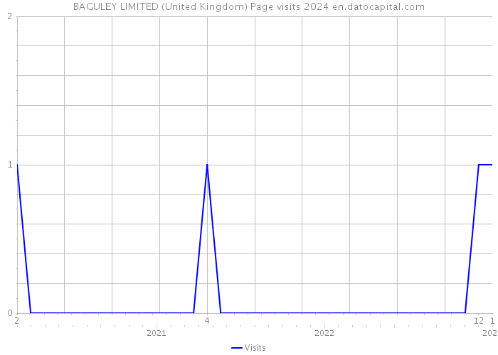 BAGULEY LIMITED (United Kingdom) Page visits 2024 