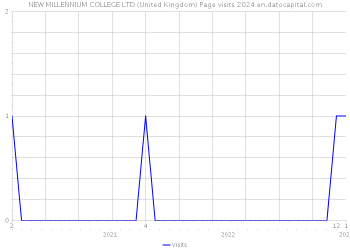 NEW MILLENNIUM COLLEGE LTD (United Kingdom) Page visits 2024 