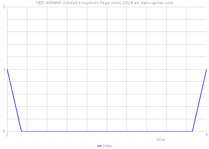 NED AMWAR (United Kingdom) Page visits 2024 