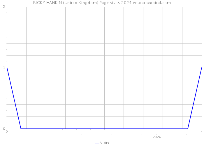 RICKY HANKIN (United Kingdom) Page visits 2024 