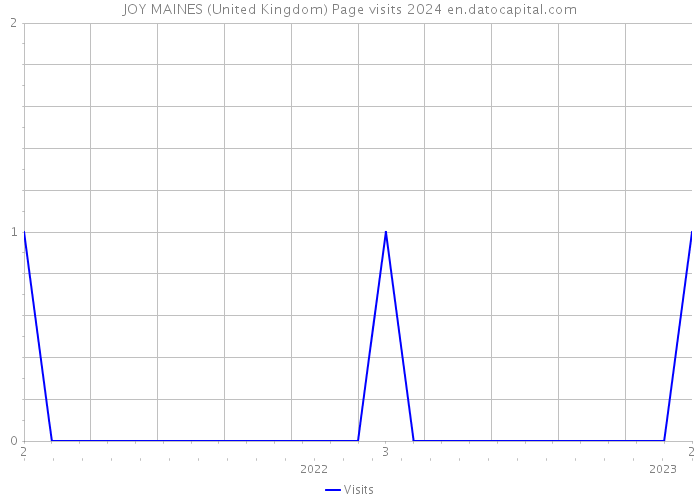 JOY MAINES (United Kingdom) Page visits 2024 