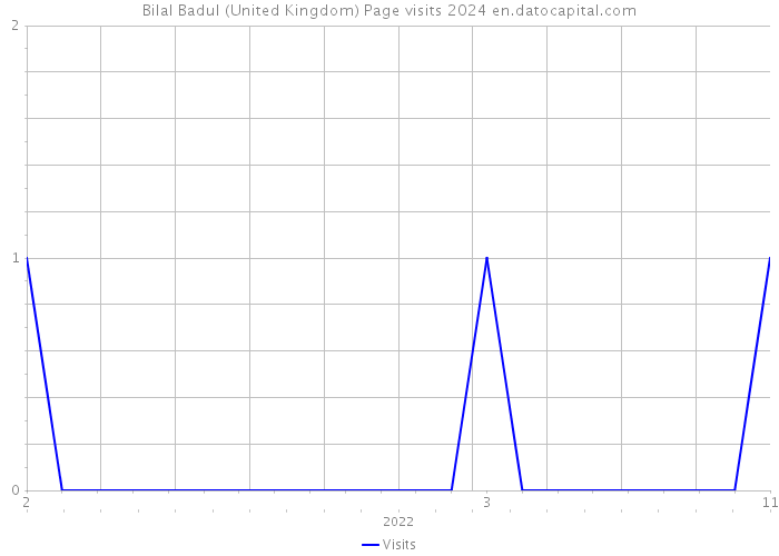 Bilal Badul (United Kingdom) Page visits 2024 