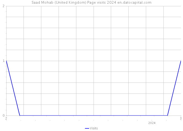 Saad Mohab (United Kingdom) Page visits 2024 