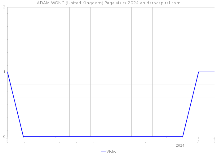 ADAM WONG (United Kingdom) Page visits 2024 