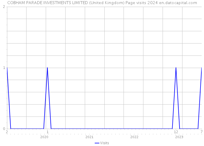 COBHAM PARADE INVESTMENTS LIMITED (United Kingdom) Page visits 2024 