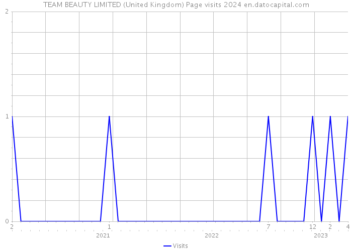 TEAM BEAUTY LIMITED (United Kingdom) Page visits 2024 