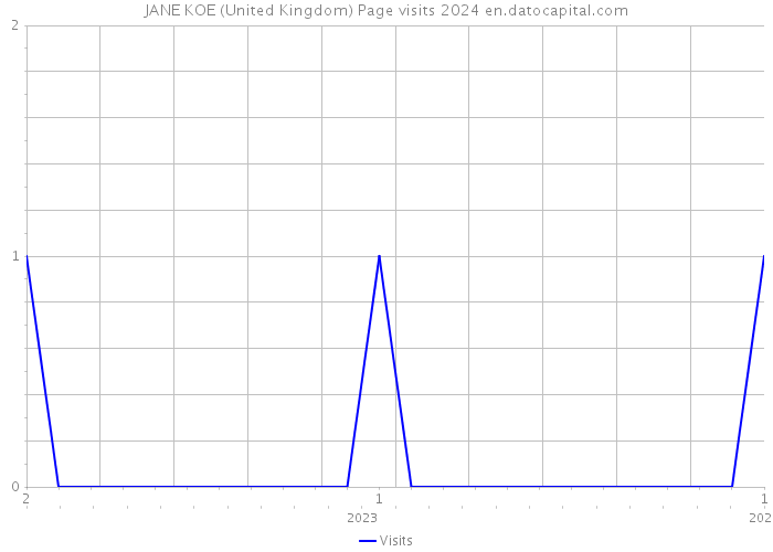 JANE KOE (United Kingdom) Page visits 2024 