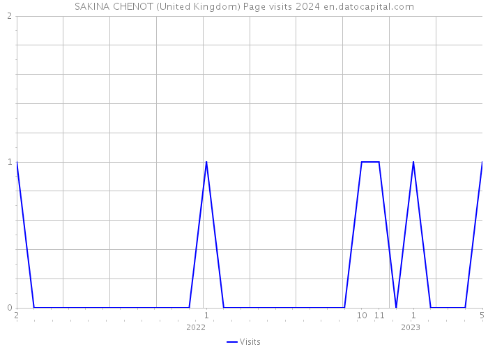SAKINA CHENOT (United Kingdom) Page visits 2024 