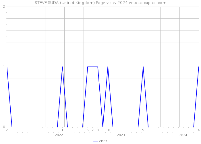 STEVE SUDA (United Kingdom) Page visits 2024 