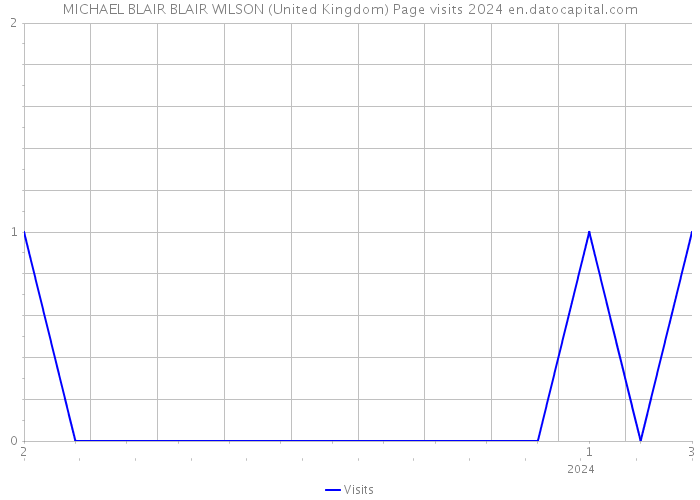 MICHAEL BLAIR BLAIR WILSON (United Kingdom) Page visits 2024 