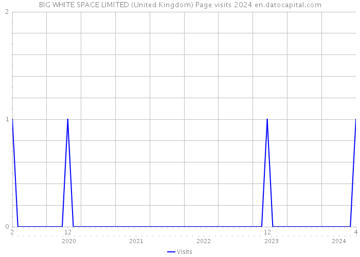 BIG WHITE SPACE LIMITED (United Kingdom) Page visits 2024 