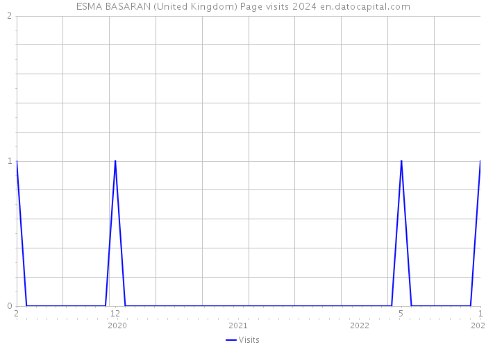 ESMA BASARAN (United Kingdom) Page visits 2024 