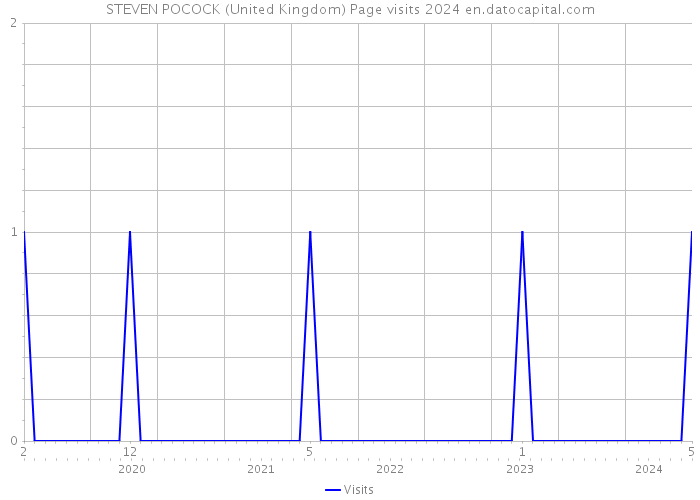 STEVEN POCOCK (United Kingdom) Page visits 2024 