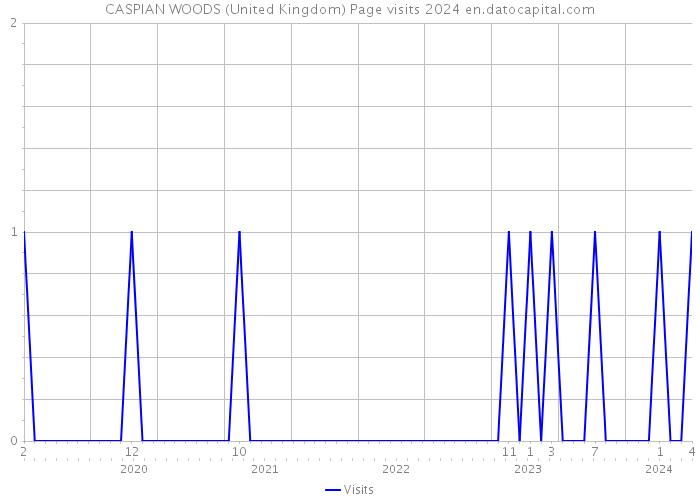 CASPIAN WOODS (United Kingdom) Page visits 2024 