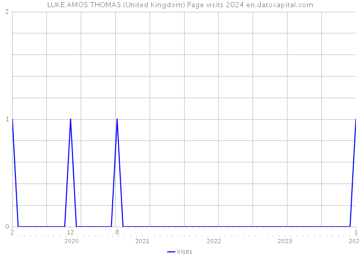 LUKE AMOS THOMAS (United Kingdom) Page visits 2024 