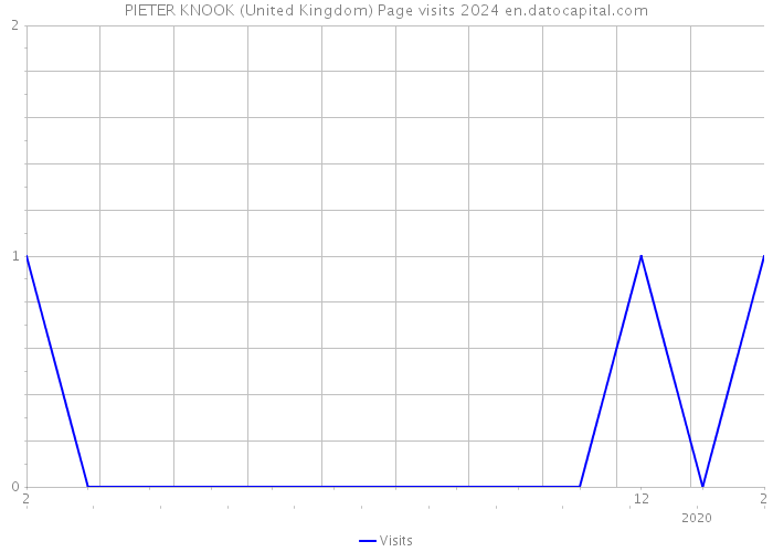 PIETER KNOOK (United Kingdom) Page visits 2024 