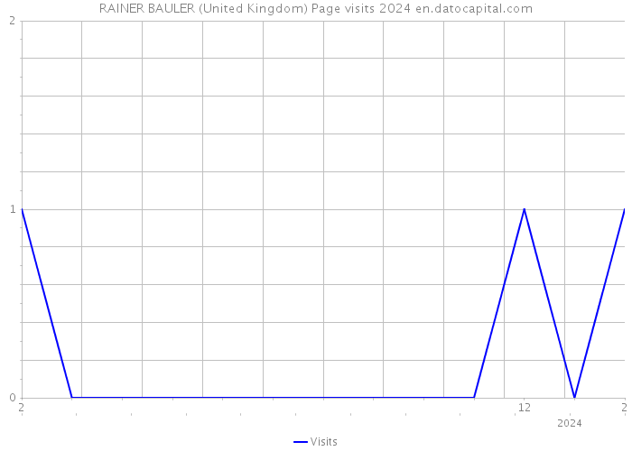 RAINER BAULER (United Kingdom) Page visits 2024 