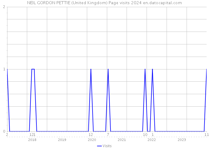 NEIL GORDON PETTIE (United Kingdom) Page visits 2024 