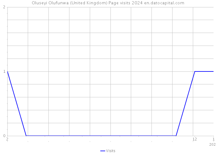 Oluseyi Olufunwa (United Kingdom) Page visits 2024 